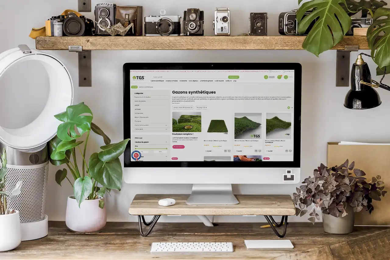 Création de site e-commerce professionnel